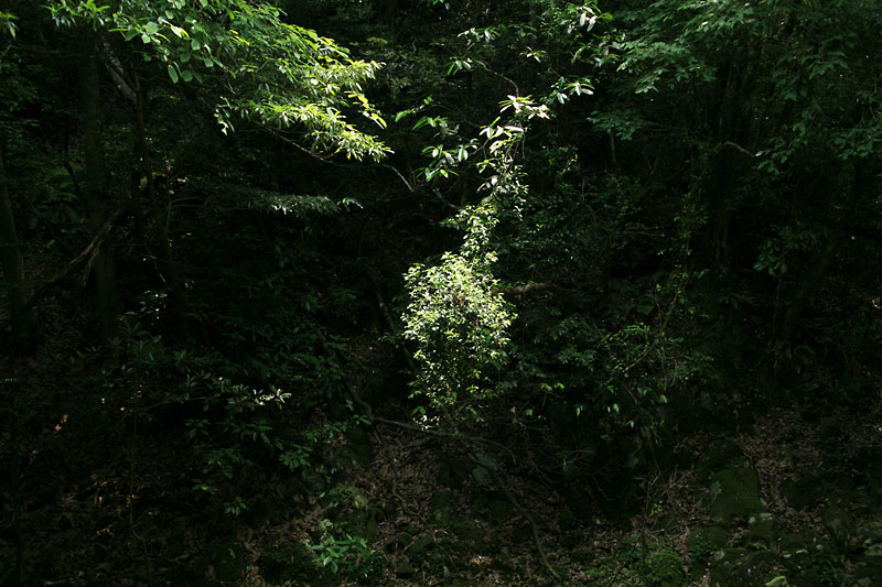 2006.06.20-01.jpg