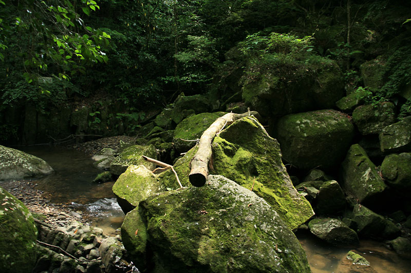 2006.06.20-01.jpg