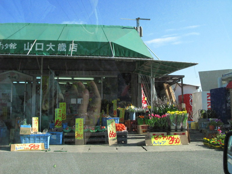 2007.03.03-01.jpg