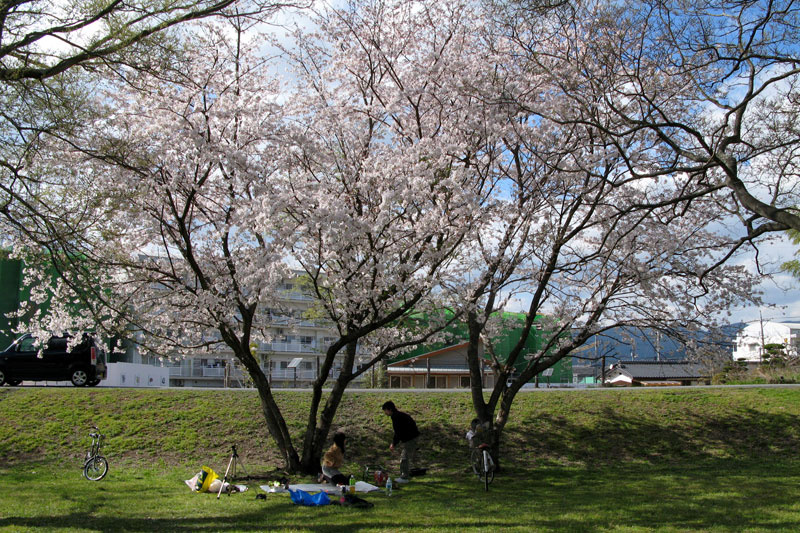 2007.04.02-01.jpg