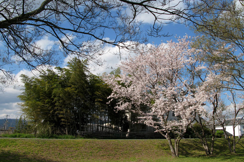 2007.04.02-01.jpg