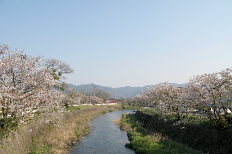 2007.04.11-05.jpg
