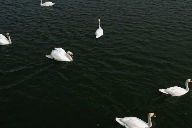 2007.04.11-07.jpg