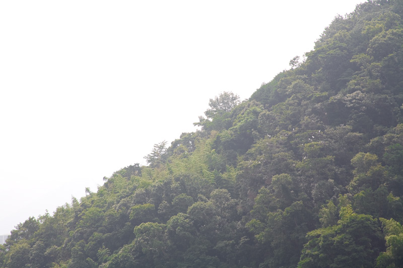 2007.07.18-02.jpg