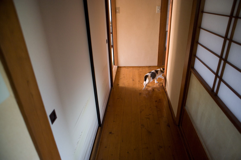 2007.07.31-01.jpg